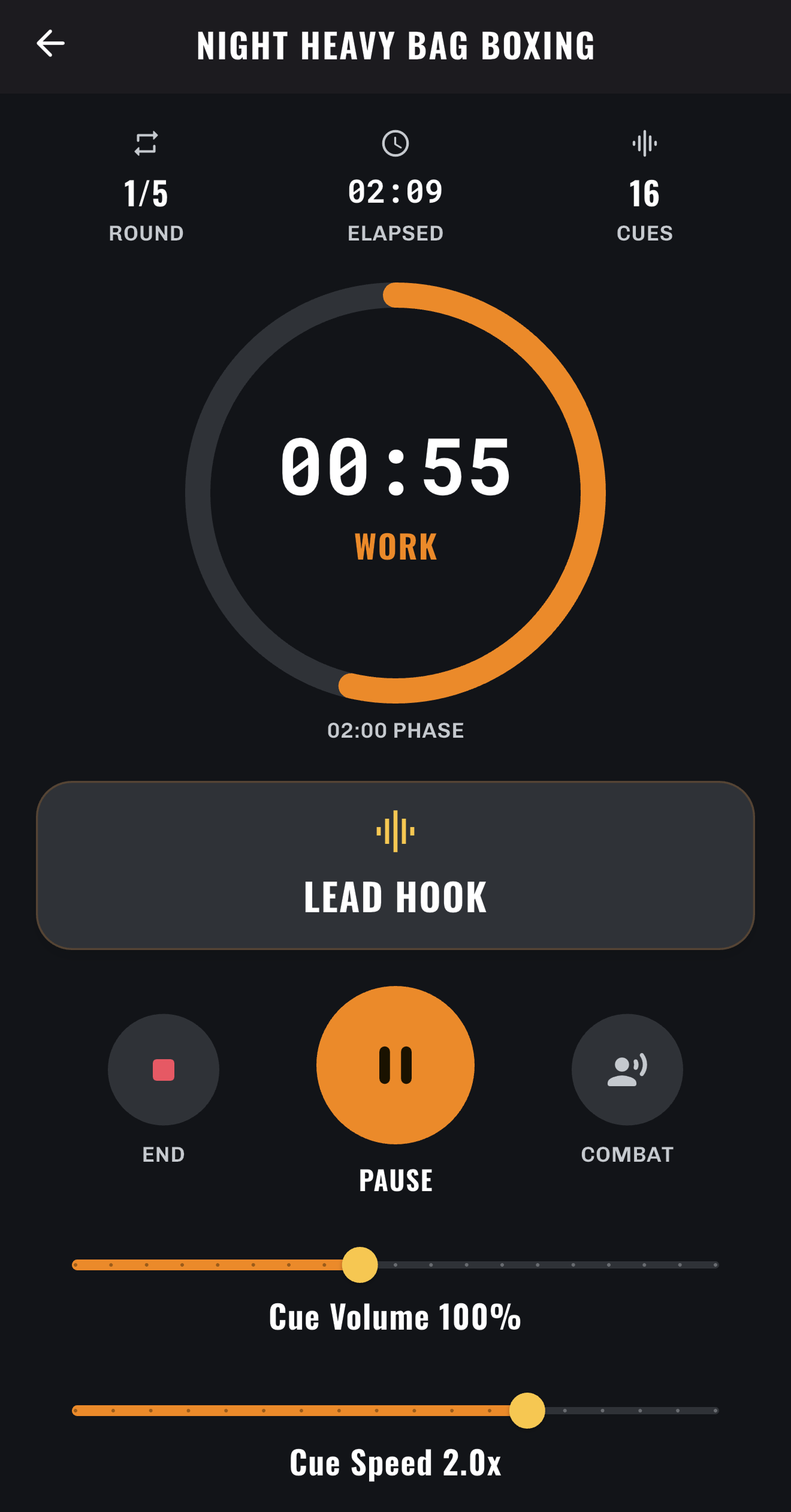 Punchy in-session screen with timer, active cue, controls, volume, and cue speed